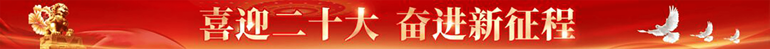 自吸泵圖片